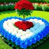 user8512555306309