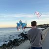 rhodyrips4
