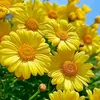 user1611210170966
