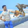 amr.hosun