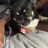 jhanai_21