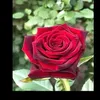 user2567151501257