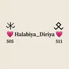 aleppo354