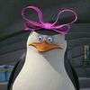 PINGÜINITA