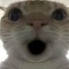 lizlaughlove08