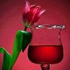 ali.noori694
