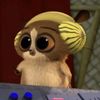 b4s0tikus