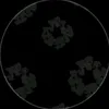 sup_guys18