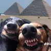 sarahlmcfmf