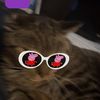 not_maddox23