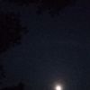 resna_1902