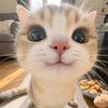 djjjqt2