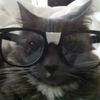 nero.hearts.cats