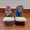 Monkey Sovan Family