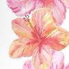 .mariecallum1