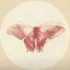 im.rahaf6