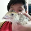 macalalad94