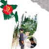 rafiyt229