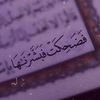 merna.nasr.eldien