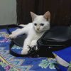 My Muncang