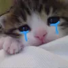 taoghetcuocsongvatinhyeu