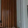 dogomenkien