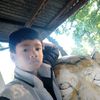 mgmingyithar231