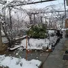 kuzmandankov