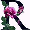 user454418298
