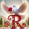 raha.aliyii