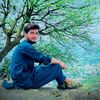 zohaibalisyed7