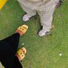 hanyakataaa_0