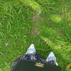 nrr.alyaa_