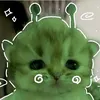 camelozinho