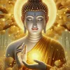 phongdophongthuy