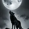 user5382252010038