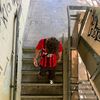 dawad_8