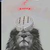 aleemkhan15378