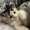 unlikelycharx