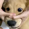imnjam