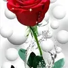 user1413296165303