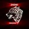 hasanzaxoy24