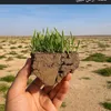 mohmmad.qasiem