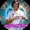 safv_313