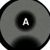 ali_.1562