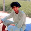 amir.milk2