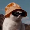 everglowpascal