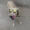 user6107477306608