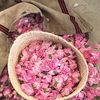 aroub281
