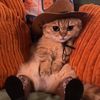 pookiepants53